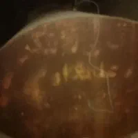 تانکر آب ۱۰هزار لیتر ورق ۵میل