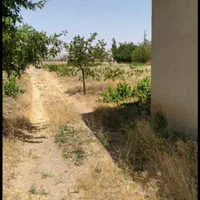 فوری، زمین فروشی به صورت تیکه ای هم ۱۲۰۰متر فروخته