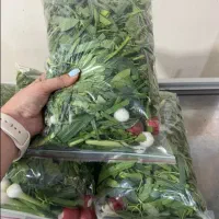 سبزی خوردنی