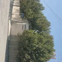 ویلاشهر-شکوفه18