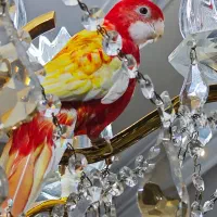 رزیلا روبینو ماده