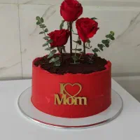 شروع ثبتنام در دوره های کیک و شیرینی