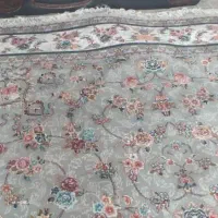 دو قالی700شانه نو|فرش|اهواز, سلطانمنش|دیوار