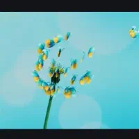 طراحی سایت بازرگانی- شعبه دیجیتال شما در جهان|خدمات رایانه‌ای و موبایل|ساری, |دیوار