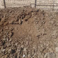 کود پوسیده گاوی وگوسفندی