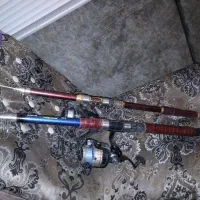 لنسر ماهیگیری