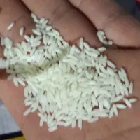 برنج|خوردنی و آشامیدنی|شادگان, |دیوار