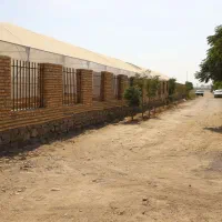 گلخانه نوساز دیوار نرده|فروش دفتر صنعتی، کشاورزی، تجاری|قرچک, داوود آباد|دیوار