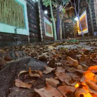 اجاره خانه باغ|اجارهٔ کوتاه‌مدت ویلا و باغ|ایلام, |دیوار