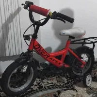 غاز .مرغ خروس اردک اسراییلی. دوچرخه بچه گانه|حیوانات مزرعه|لاهیجان, لیل|دیوار