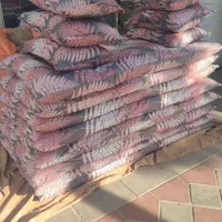 تشک،بالشت،لحاف|رختخواب، بالش، پتو|قرچک, زیبا شهر|دیوار