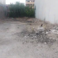 زمین مسکونی نزدیک فلکه اشکفت بهترین لوکیشن شهر