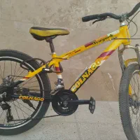 دوچرخه کولناگو نیویورک 24 دو دیسک