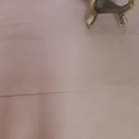 فرش ۶متری نونو|فرش|سبزوار, قاضی زاد|دیوار