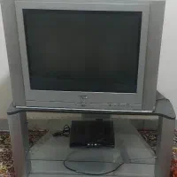 تلویزیون بامیز