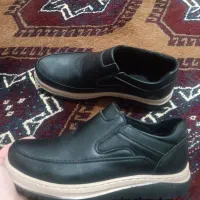 دو عدد کفش نو|کیف، کفش، کمربند|انبارآلوم, |دیوار