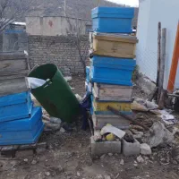 کندو زنبور عسل|لوازم جانبی حیوانات|گهواره, |دیوار