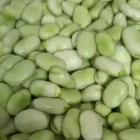 سفارش پذیرفته میشود