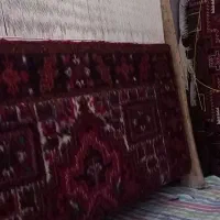 فرش دستبافت نقش چشمه زان