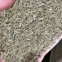 خوراکی