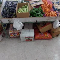 پالت میوه و صیفی جات|فروشگاه و مغازه|کرج, محمود آباد|دیوار