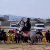 نریان ۶ ساله شیش دانگ میدون رو