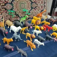 حیوانات کلکسیونی