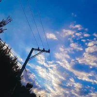 استخدام نیرو خانم جهت کار در کافه / رستوران