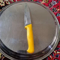 چاقو تیغه محکم و تیز کار دست استاد حیدری|کوهنوردی و کمپینگ|سنندج, |دیوار