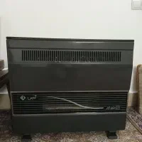 بخاری ادنیس