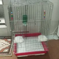 قفس کاسکو قناری