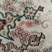 سویا پلت تمیز
