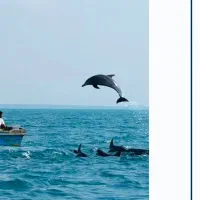 تورقشم،هنگام|تور و چارتر|شیراز, تحویلی|دیوار