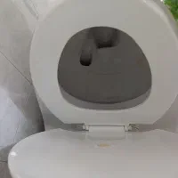 توالت فرنگی