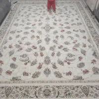 قالی1200شانه