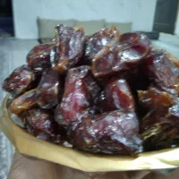 خرمای کبکاب|حراج|برازجان, |دیوار