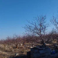 باغ ۱۵۰۰متری|فروش زمین و ملک کلنگی|گلبهار, شهر جدید گلبهار|دیوار