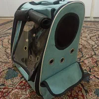 کیف و کوله حمل سگ و گربه عروس هلندی|کیف، کفش، کمربند|بندرعباس, |دیوار