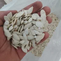 تخم کدو امسال