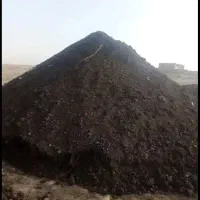 کود حیوانی|خدمات باغبانی و درختکاری|صفادشت, |دیوار