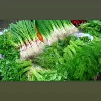 سبزی فروشی معین در رشت|خوردنی و آشامیدنی|رشت, دیانتی|دیوار