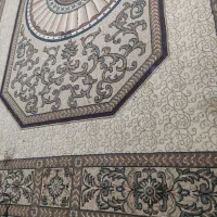 قالی خوش رنگ جدید خوش قیمت بخاطر کمبود جا|فرش|صدرا-فارس, فاز ۱|دیوار