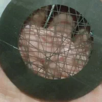 برش لیزری فلزات|خدمات پیشه و مهارت|مشهد, نوید|دیوار