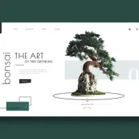 طراحی سایت * سئو .ترب .دیجیکالا * فروشگاهی با ۷م