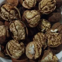 گردو|خوردنی و آشامیدنی|اردبیل, |دیوار