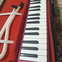 ملودیکا زیبادرحدآکبند