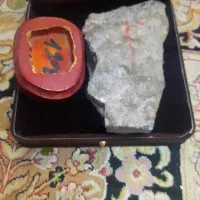 آمیتس