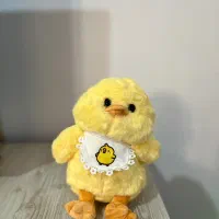 کادو ولنتاین|اسباب‌‌بازی|زنجان, |دیوار