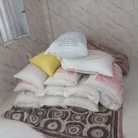 گندم وجومحلی