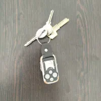پیداشده